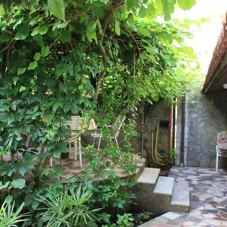 Rasa Apartment