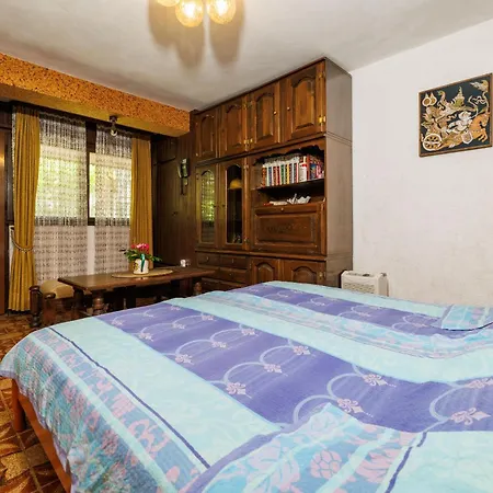 Apartment Rasa